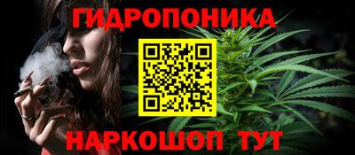 гашик Новодвинск