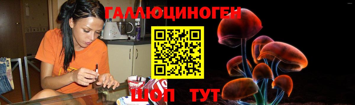 Псилоцибиновые грибы мухоморы  купить наркоту  Псилоцибиновые грибы Psilocybine cubensis  Славгород  Вход с VPN 