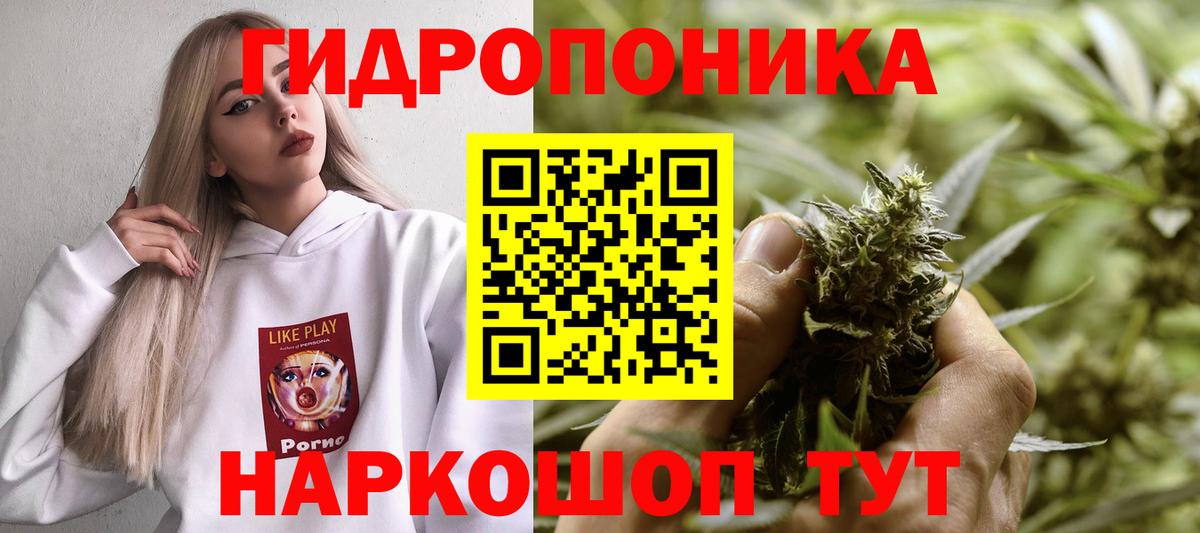 Бошки Шишки конопля Славгород